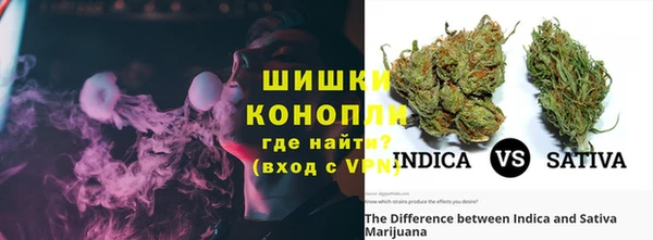 стаф Аркадак